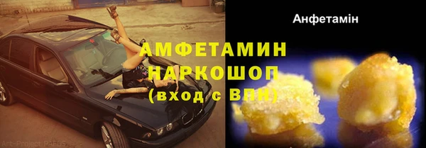 хмурый Алексин