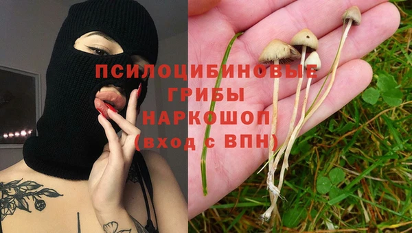 хмурый Алексин