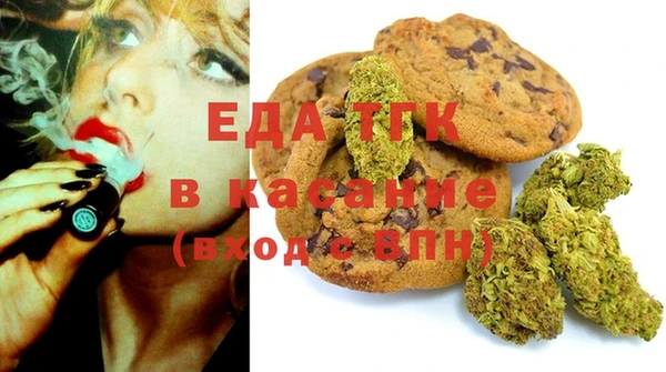 хмурый Алексин