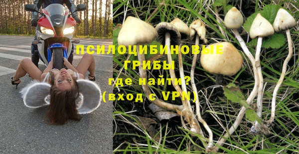 спайс Алексеевка