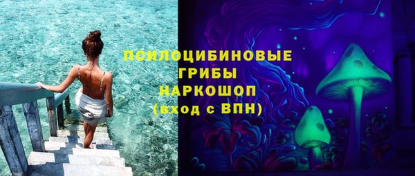 молекула духа Алзамай