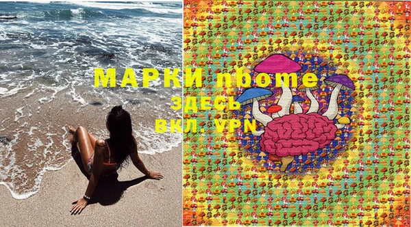 хмурый Алексин