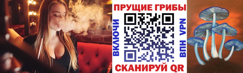 Галлюциногенные грибы Psilocybine cubensis  Сухиничи 